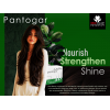 PANTOGAR ® FOR HAIR AND NAILS DIETARY SUPPLEMENT 60 CAPSULES